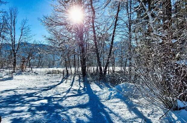 Grundstück kaufen in 9184 St. Jakob (Bild 3)