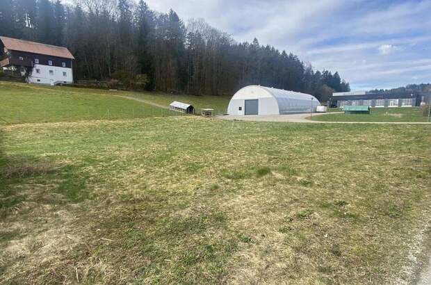 Haus kaufen in 4870 Pfaffing (Bild 2)