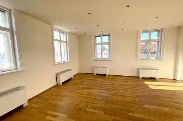 Gewerbeobjekt mieten in 1010 Wien (Bild 5)