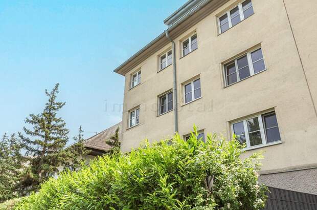 Altbauwohnung kaufen in 1130 Wien (Bild 1)