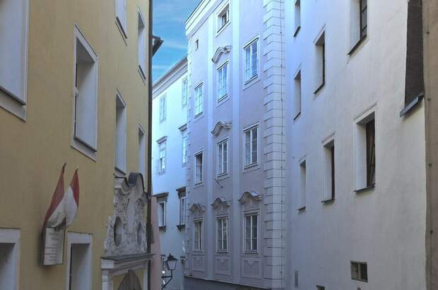 Altbauwohnung mieten in 4020 Linz (Bild 3)