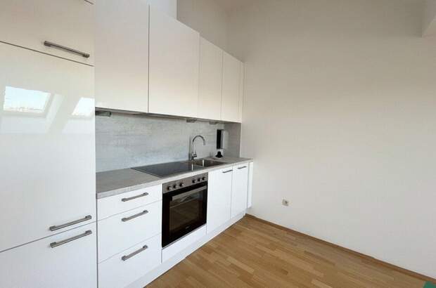 Altbauwohnung mieten in 1090 Wien (Bild 5)