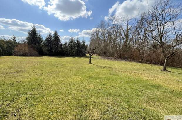 Grundstück kaufen in 4614 Marchtrenk (Bild 4)