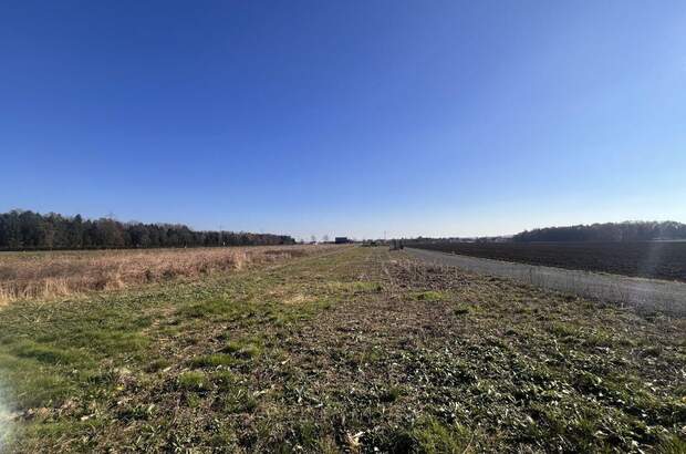 Gewerbeobjekt kaufen in 8423 Sankt Veit (Bild 1)