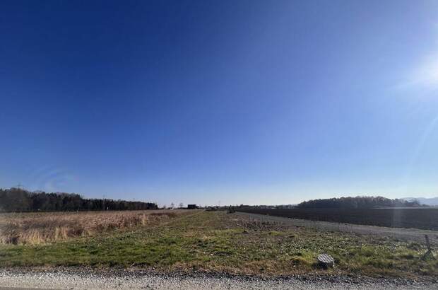 Gewerbeobjekt kaufen in 8423 Sankt Veit (Bild 3)