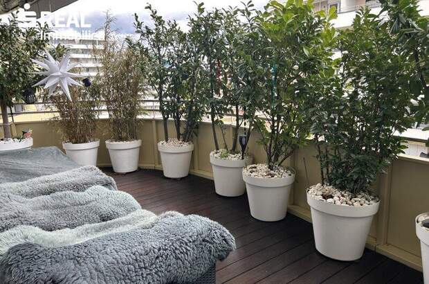 Terrassenwohnung kaufen in 8054 Graz (Bild 1)