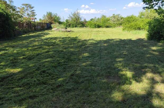 Grundstück kaufen (Bild 3)