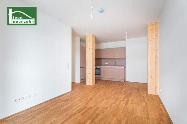 Terrassenwohnung mieten in 1030 Wien (Bild 3)