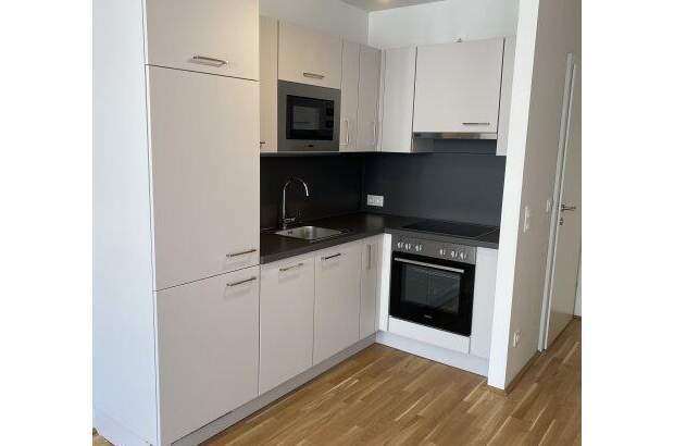 Terrassenwohnung mieten in 1220 Wien (Bild 1)