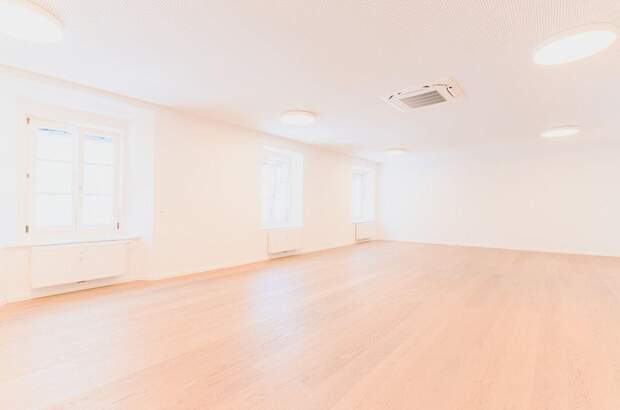 Gewerbeobjekt mieten in 8200 Gleisdorf (Bild 2)