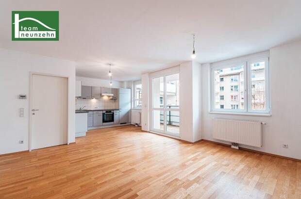 Terrassenwohnung mieten in 1080 Wien (Bild 1)