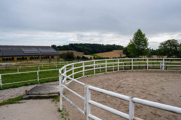 Gewerbeobjekt kaufen in 4600 Gunskirchen (Bild 4)