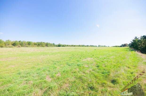 Einfamilienhaus kaufen in 2320 Schwechat (Bild 5)