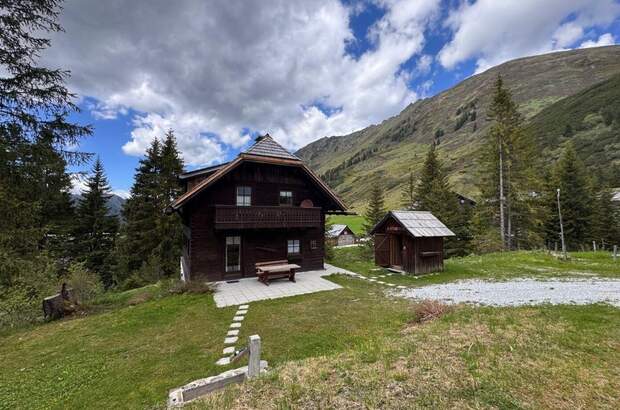 Anlageobjekt kaufen in 8953 Planneralm (Bild 3)