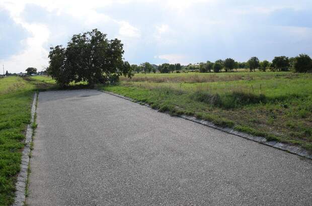 Grundstück kaufen in 7141 Podersdorf (Bild 5)