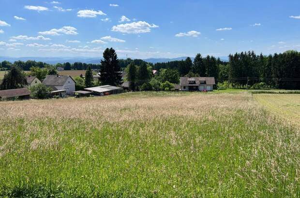 Grundstück kaufen in 8413 Sankt Georgen (Bild 5)