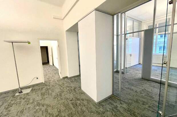 Gewerbeobjekt mieten in 1010 Wien (Bild 5)