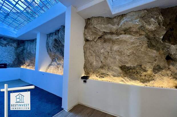 Altbauwohnung kaufen in 2500 Baden (Bild 1)
