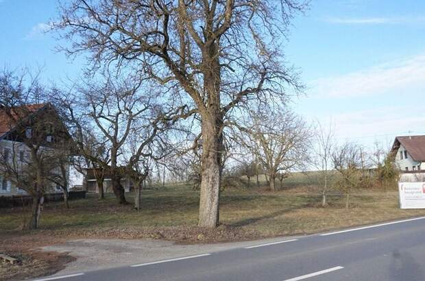 Gewerbeobjekt kaufen in 4912 Neuhofen (Bild 4)