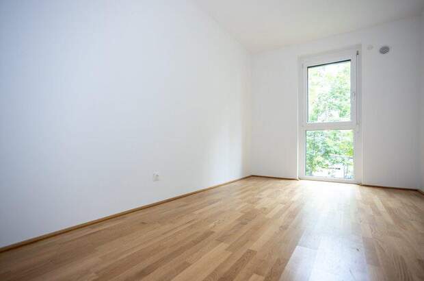 Terrassenwohnung kaufen in 2700 Wr. Neustadt (Bild 5)