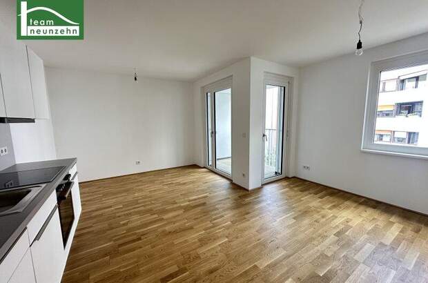 Terrassenwohnung mieten in 1160 Wien (Bild 1)