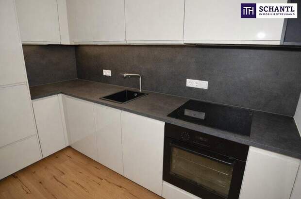 Terrassenwohnung kaufen in 1040 Wien (Bild 5)