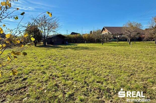 Grundstück kaufen in 4632 Pichl (Bild 1)