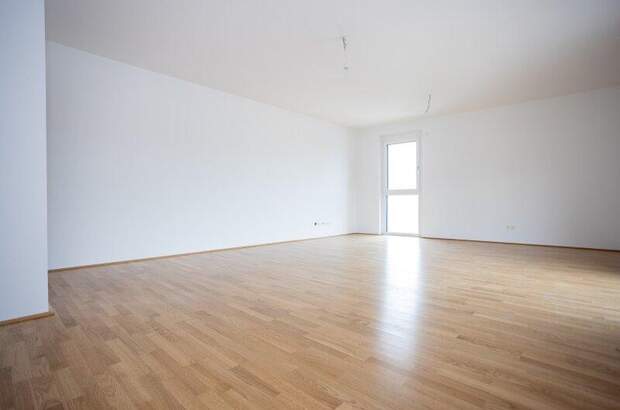 Terrassenwohnung kaufen in 2700 Wr. Neustadt (Bild 3)