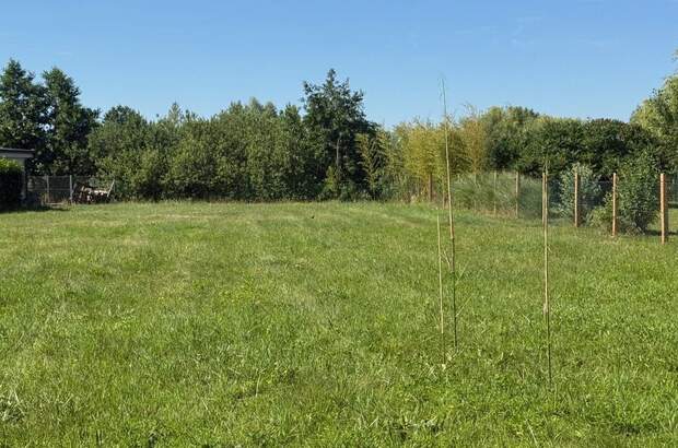 Grundstück kaufen in 9361 Hövej (Bild 1)