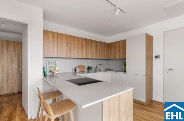 Terrassenwohnung mieten in 1200 Wien (Bild 1)