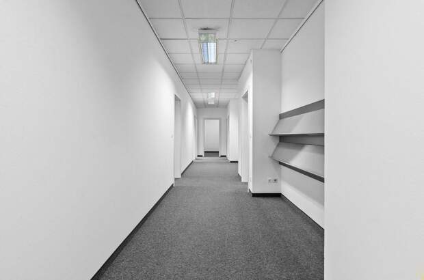 Gewerbeobjekt mieten in 1130 Wien (Bild 3)
