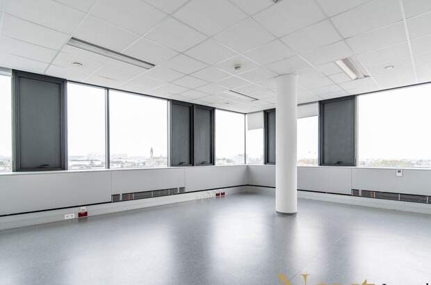 Gewerbeobjekt mieten in 4600 Wels (Bild 4)