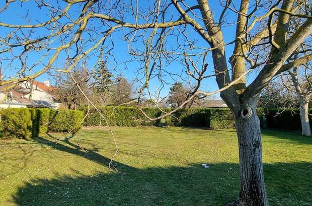 Grundstück kaufen in 1220 Wien