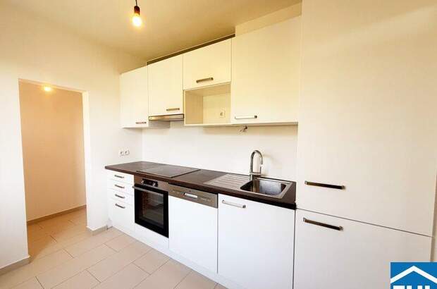 Terrassenwohnung mieten in 1030 Wien (Bild 3)