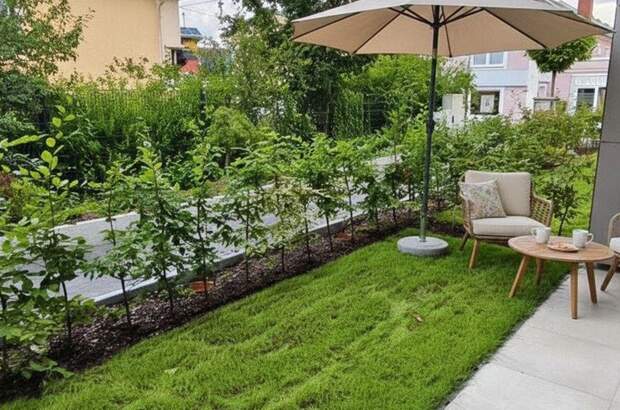 Wohnung mit Balkon kaufen in 4284 Tragwein (Bild 3)