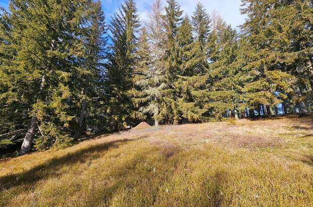 Grundstück kaufen in 8742 Sankt Anna (Bild 2)