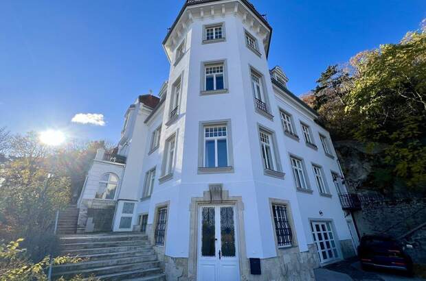 Altbauwohnung kaufen in 2500 Baden (Bild 1)