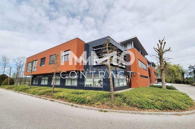 Gewerbeobjekt kaufen in 5280 St. Peter (Bild 3)