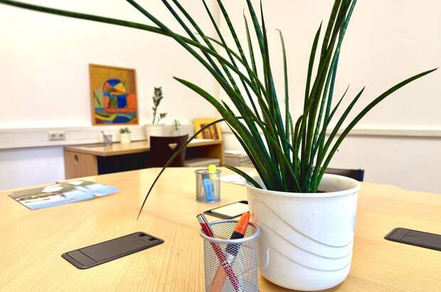 Gewerbeobjekt mieten in 2320 Schwechat (Bild 3)