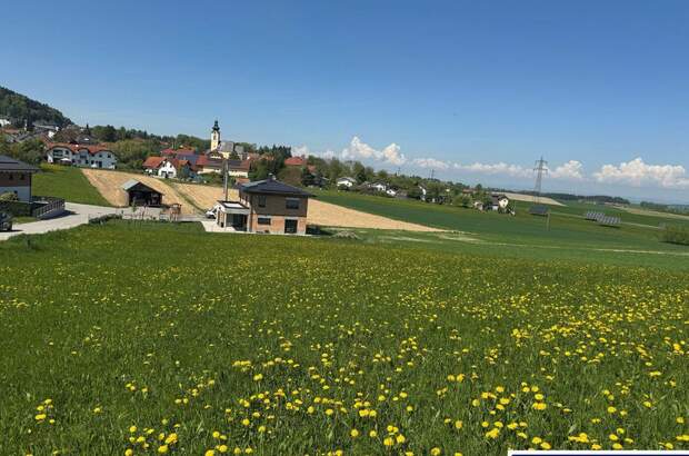 Grundstück kaufen in 4674 Altenhof (Bild 1)