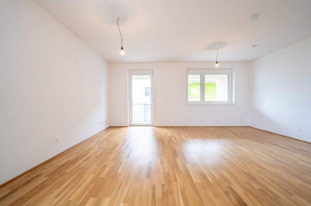 Terrassenwohnung kaufen in 3250 Wieselburg (Bild 1)