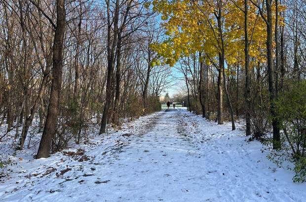 Haus mit Garten mieten in 1220 Wien (Bild 4)