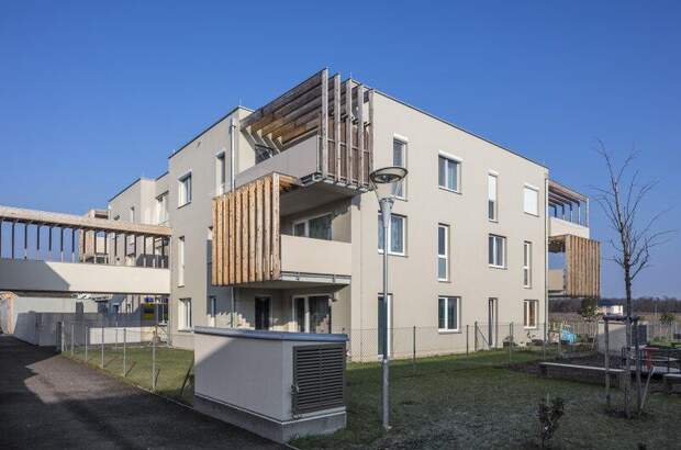 Terrassenwohnung mieten in 2231 Strasshof (Bild 2)