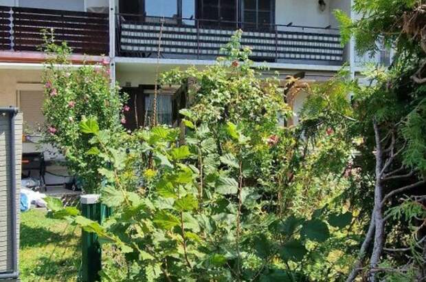 Haus mit Garten kaufen in 8045 Graz (Bild 3)