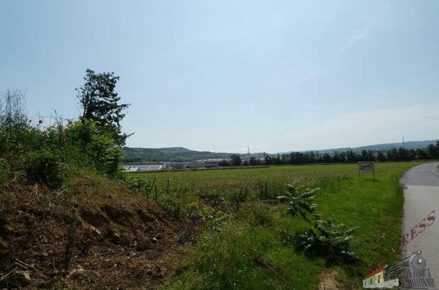 Einfamilienhaus kaufen in 7210 Mattersburg (Bild 3)