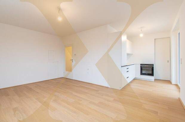 Terrassenwohnung mieten in 4020 Linz (Bild 1)