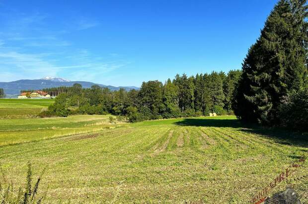 Grundstück kaufen in 2632 Penk (Bild 1)