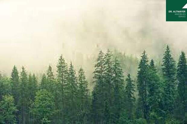 Immobilie kaufen in 9183 Rosenbach (Bild 3)