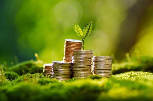 Anlageobjekt kaufen in 5020 Salzburg (Bild 2)