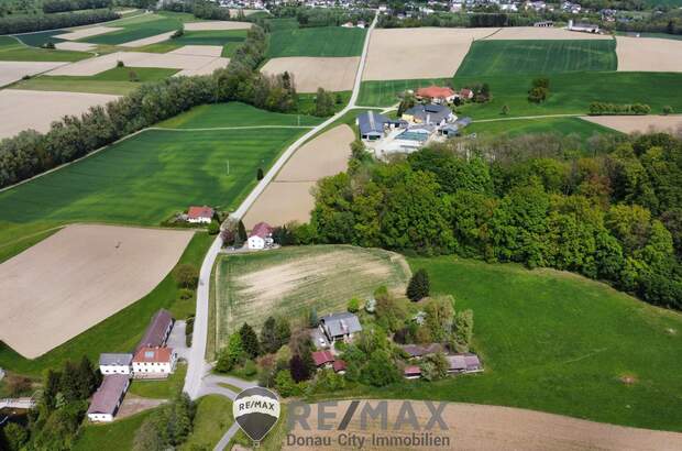 Einfamilienhaus kaufen in 3321 Ardagger (Bild 4)